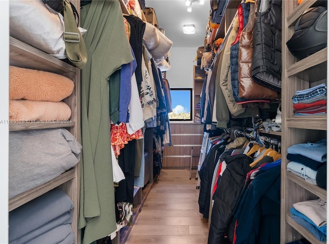 walk in closet with light wood-type flooring