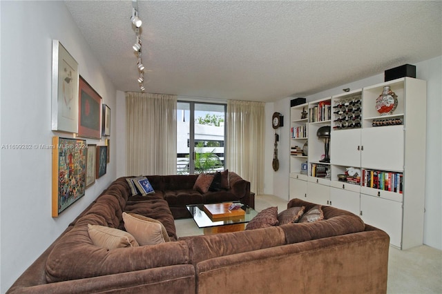 carpeted living room with track lighting and a textured ceiling