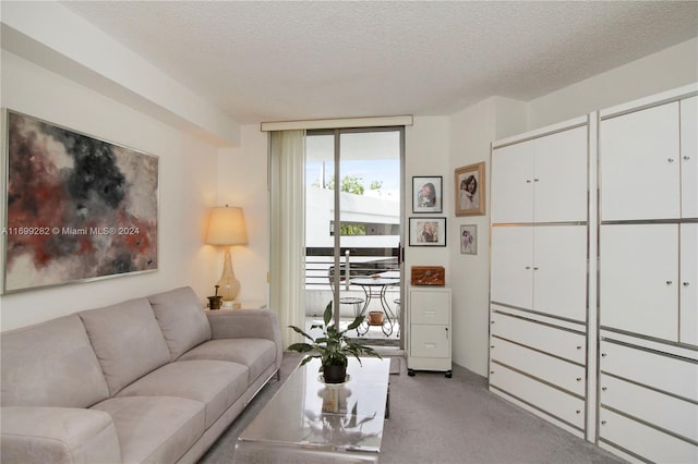 carpeted living room featuring a textured ceiling