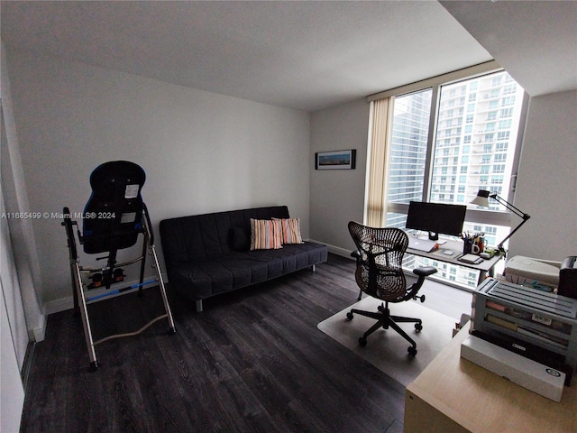 home office featuring dark hardwood / wood-style flooring