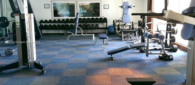 exercise room with carpet flooring