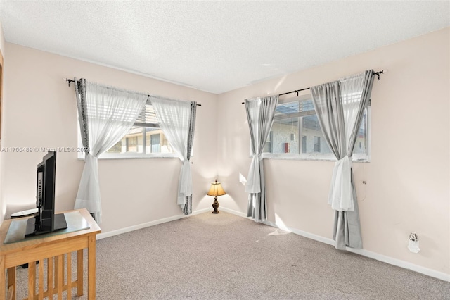 interior space with multiple windows, carpet, and a textured ceiling