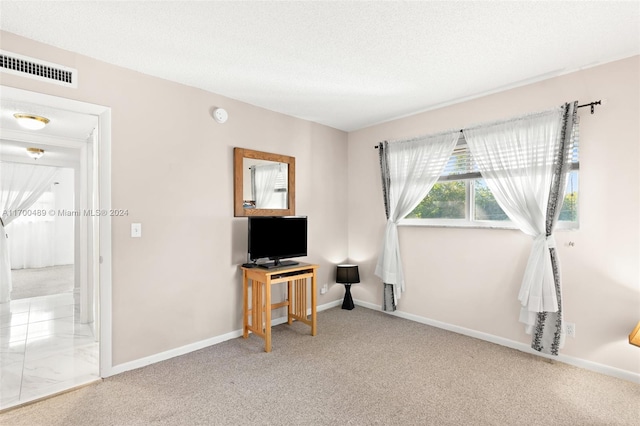 interior space featuring carpet and a textured ceiling