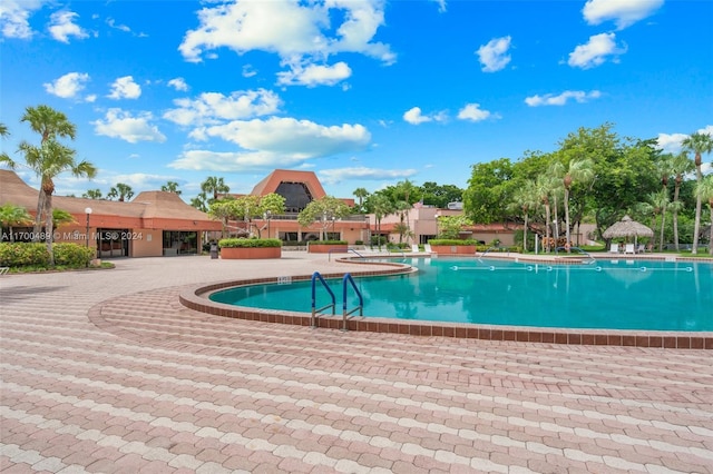 view of pool with a patio area