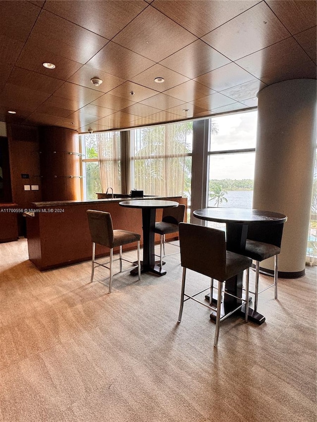 carpeted dining room featuring expansive windows