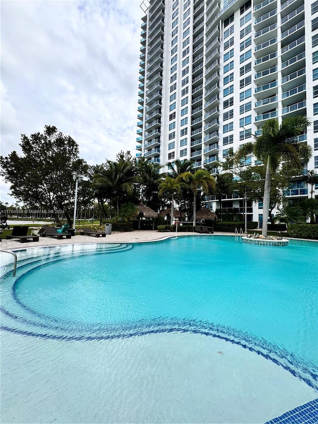 view of swimming pool