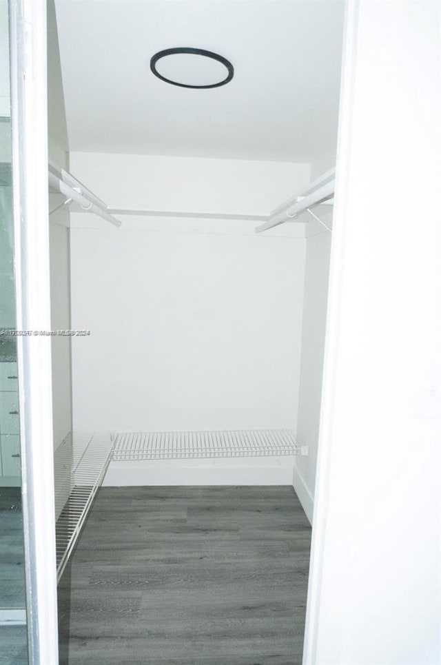 spacious closet featuring dark wood-type flooring