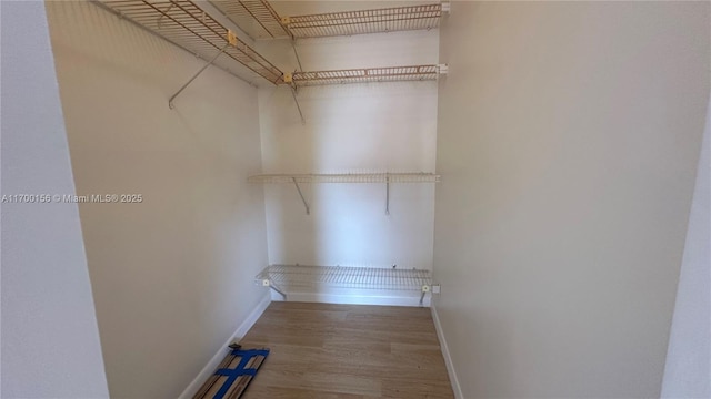 walk in closet featuring wood finished floors