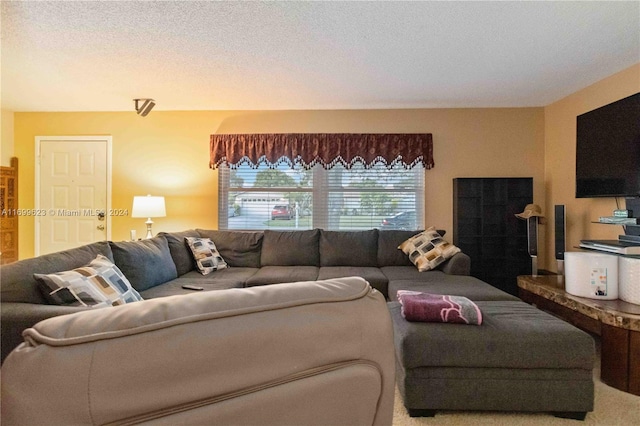 carpeted living room with a textured ceiling