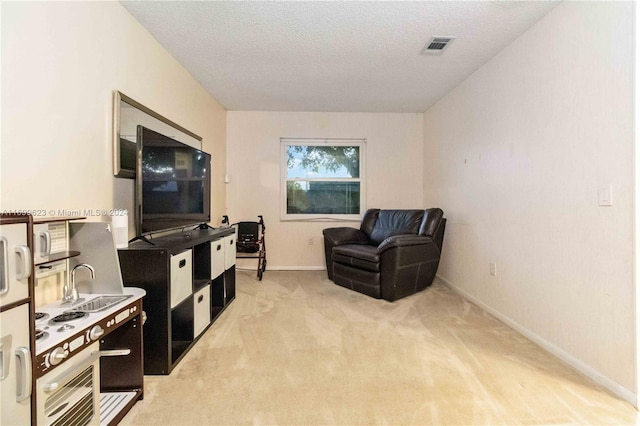 sitting room with light colored carpet and a textured ceiling