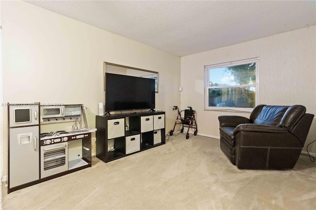 carpeted living room with a textured ceiling