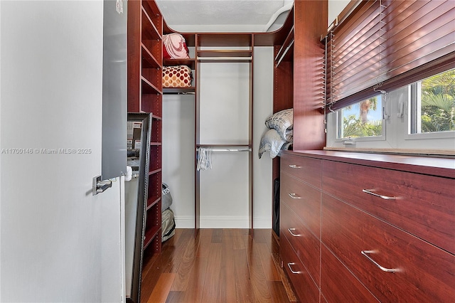 walk in closet with hardwood / wood-style flooring