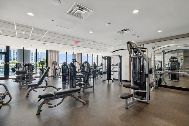 exercise room featuring a wall of windows