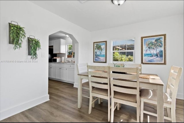 dining room featuring wood-type flooring