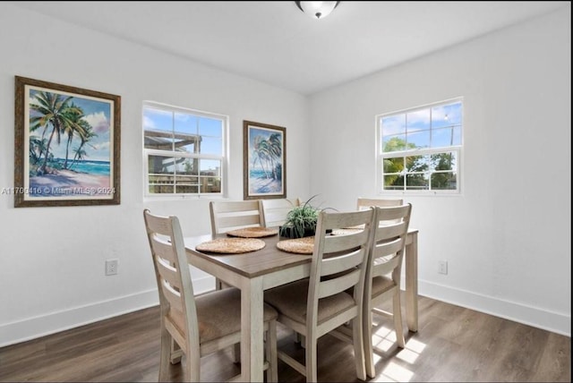 dining area with dark hardwood / wood-style floors