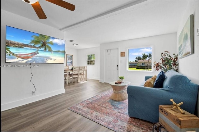 living room featuring hardwood / wood-style floors and ceiling fan