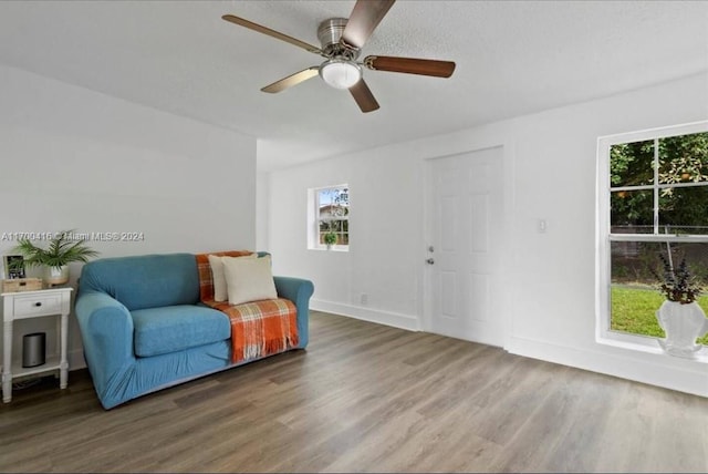 living area featuring ceiling fan and wood-type flooring