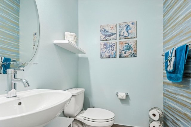 bathroom with sink and toilet