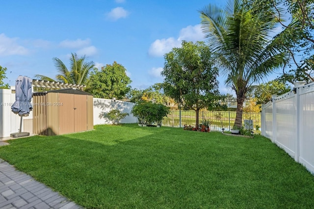 view of yard with a storage unit