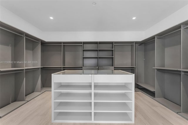 2110 S Miami Ave, Miami, FL 33129 - spacious closet with light wood-style floors