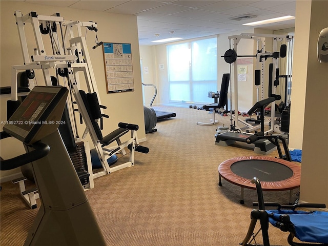 exercise room with light carpet and a drop ceiling