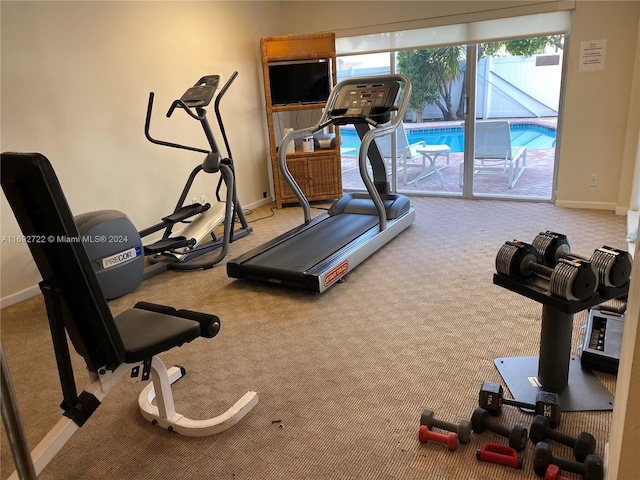 workout area featuring carpet