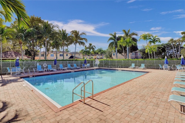 view of pool featuring a patio