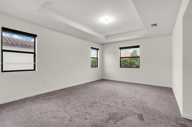 spare room with carpet flooring and a tray ceiling