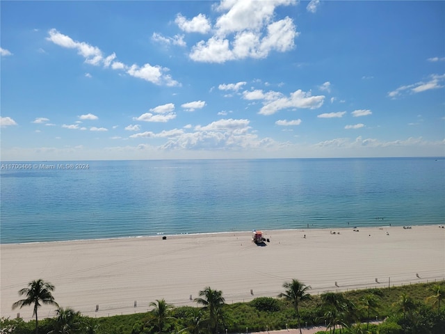 view of water feature featuring a view of the beach