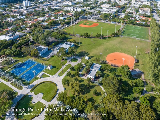 drone / aerial view