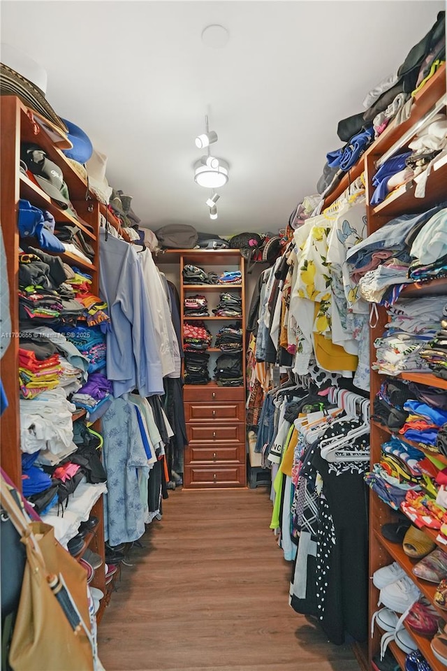 spacious closet with wood-type flooring