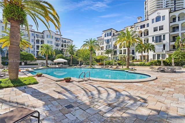 view of pool featuring a patio