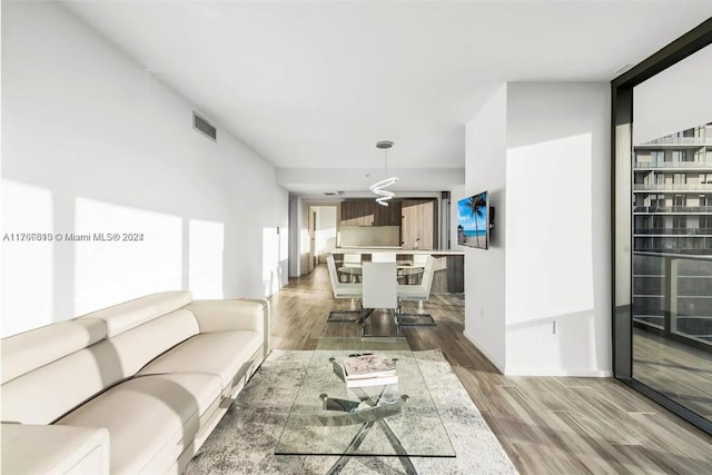 living room featuring hardwood / wood-style floors