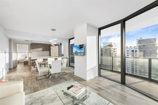 living room featuring light hardwood / wood-style floors and floor to ceiling windows