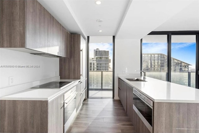 kitchen with expansive windows, sink, oven, and dark wood-type flooring