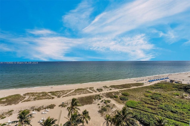 water view with a view of the beach