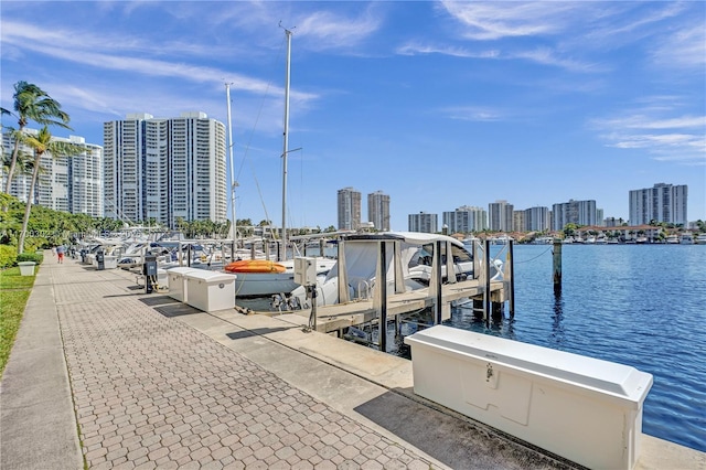 dock area featuring a water view