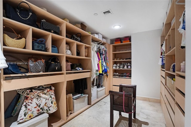 view of walk in closet