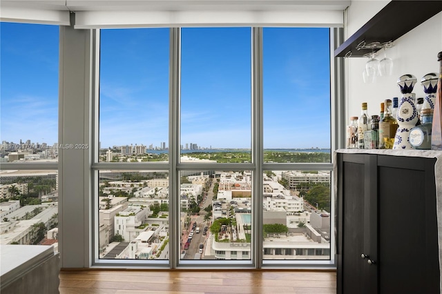 entryway featuring expansive windows, wood finished floors, and a city view