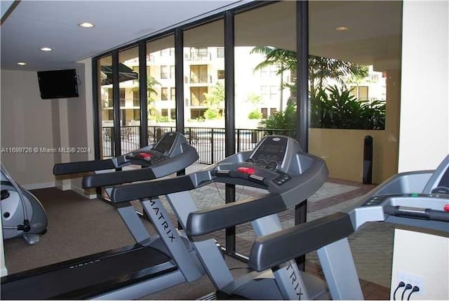 gym with floor to ceiling windows