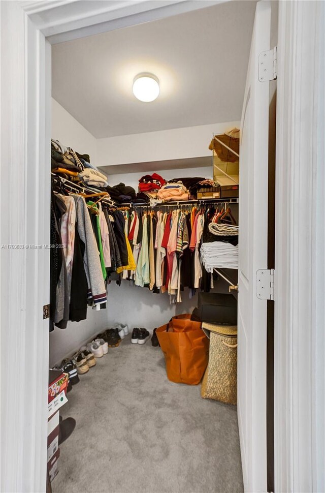 walk in closet with carpet floors