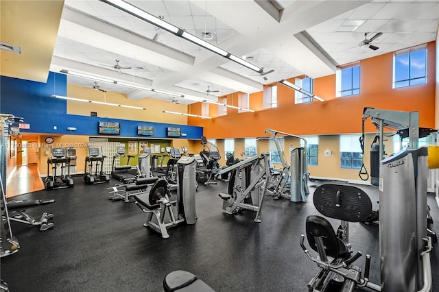 gym featuring ceiling fan, a paneled ceiling, and a wealth of natural light