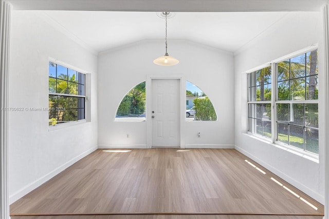 interior space featuring crown molding, plenty of natural light, and light hardwood / wood-style floors