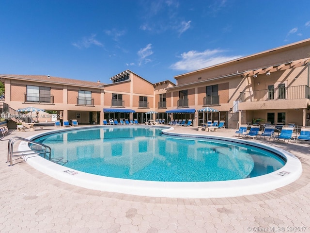 view of pool featuring a patio area