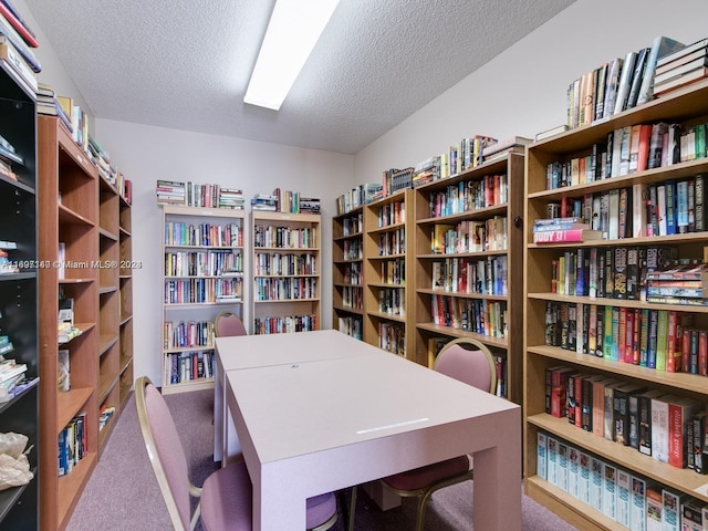 office area featuring carpet floors and a textured ceiling