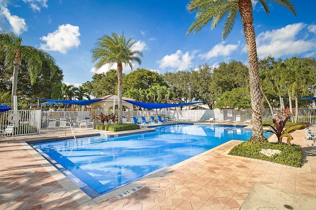 view of swimming pool with a patio area