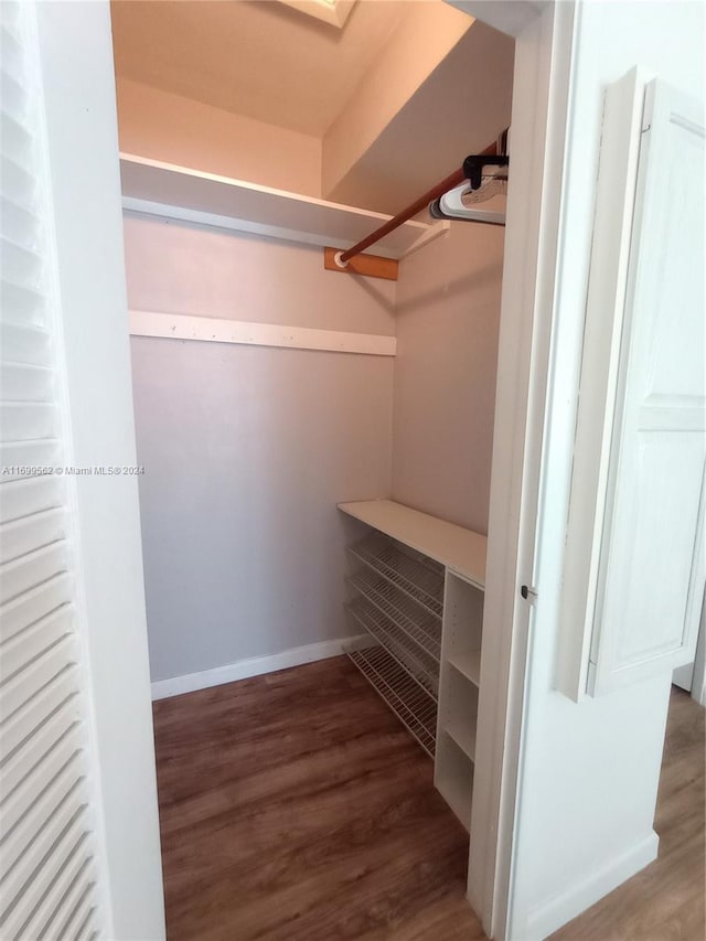 spacious closet featuring dark wood-type flooring