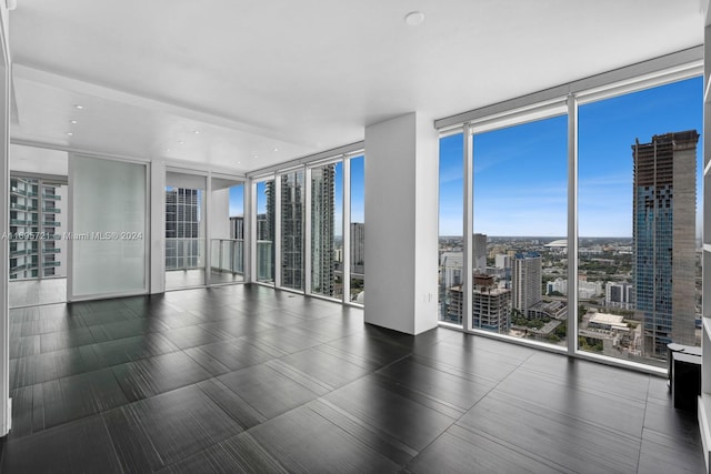 empty room featuring a wealth of natural light and a wall of windows