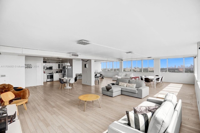 living room featuring hardwood / wood-style flooring and a healthy amount of sunlight