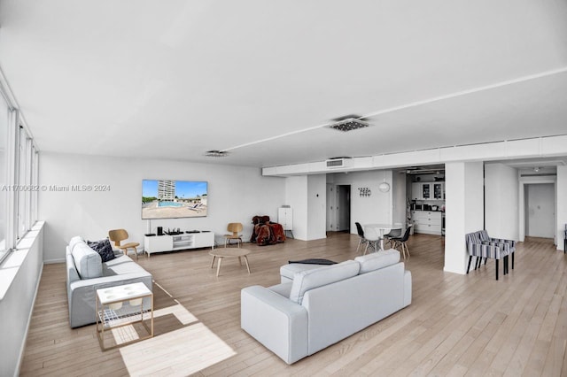 living room featuring light hardwood / wood-style floors